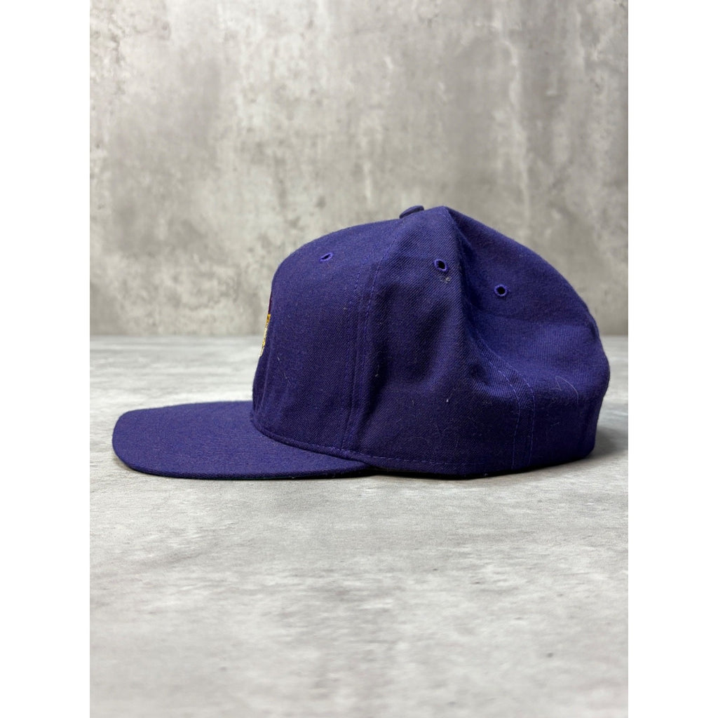 Vintage Minnesota Vikings NFL Embroidered Logo Snapback Hat OSFA