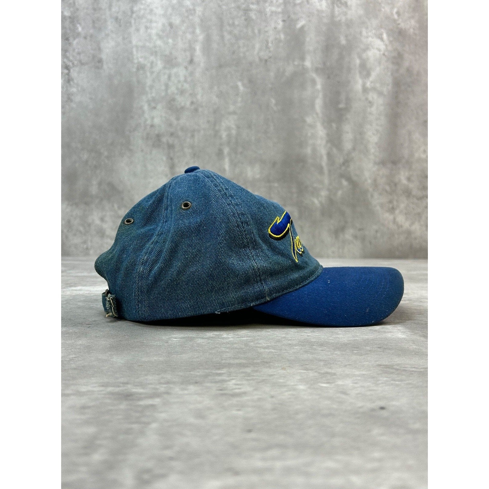 Vintage 2000 Looney Tunes Tweety Bird Embroidered Denim Strapback Hat OSFA