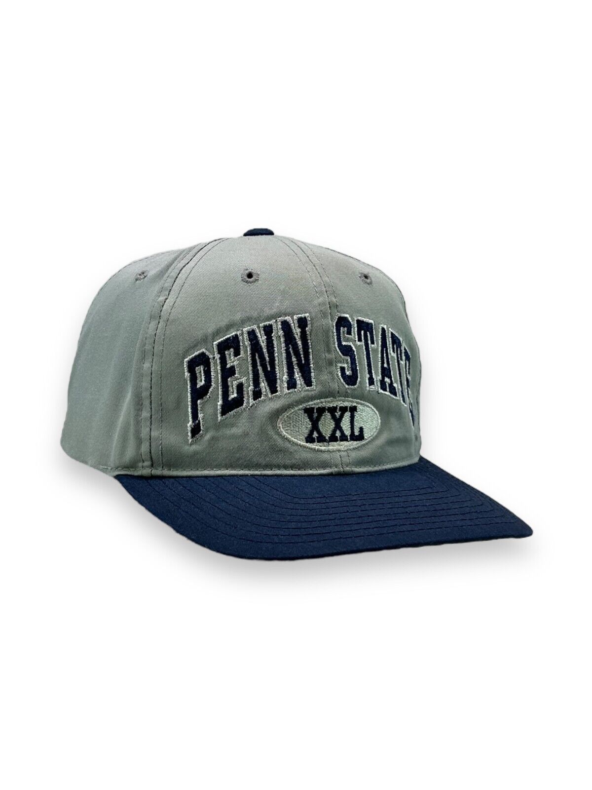 Vintage 90s Penn State Nittany Lions NCAA Arc Spell Out Snapback Hat OSFA Gray