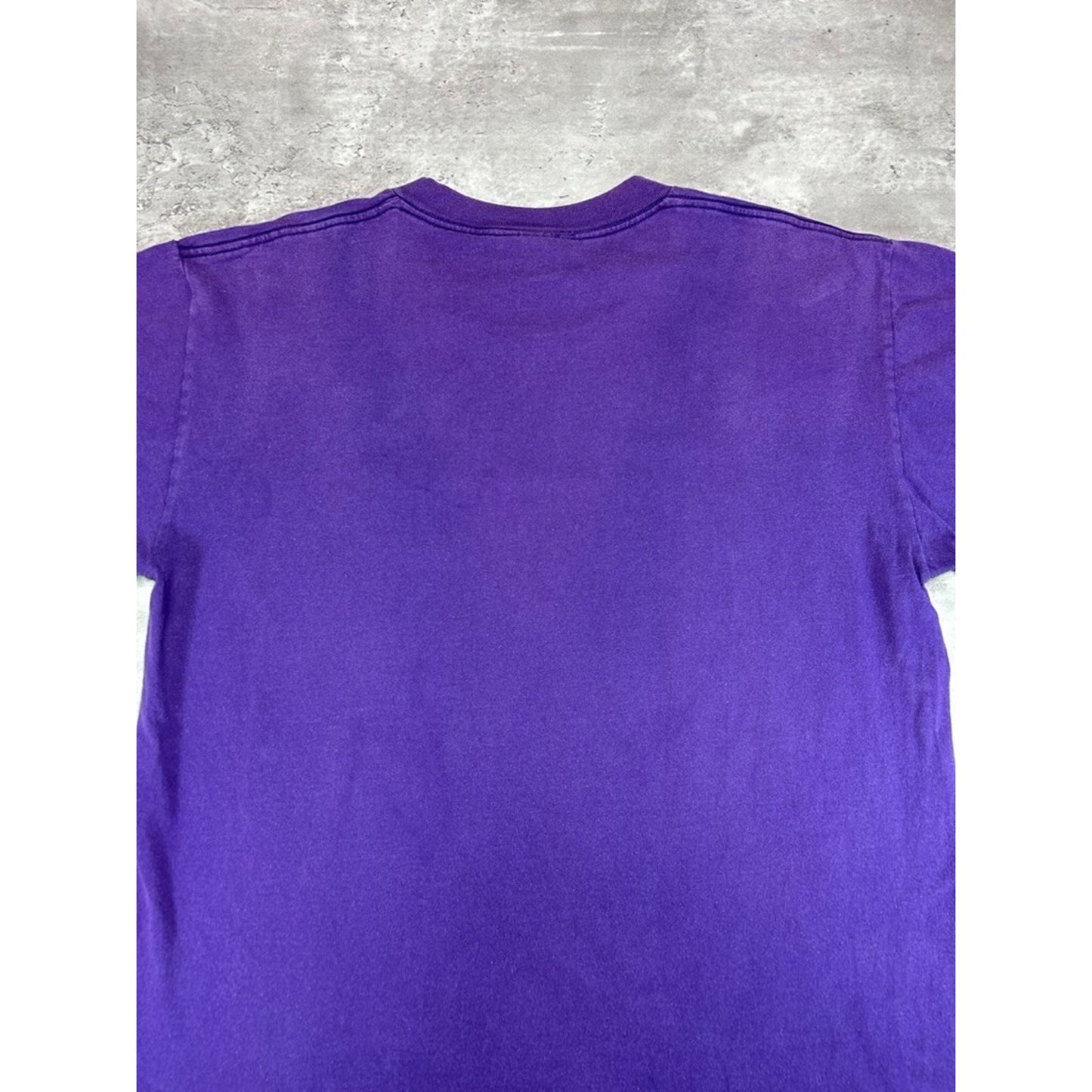 Vintage 1998 Minnesota Vikings NFL NFC Central Division Champs T-Shirt Size Large