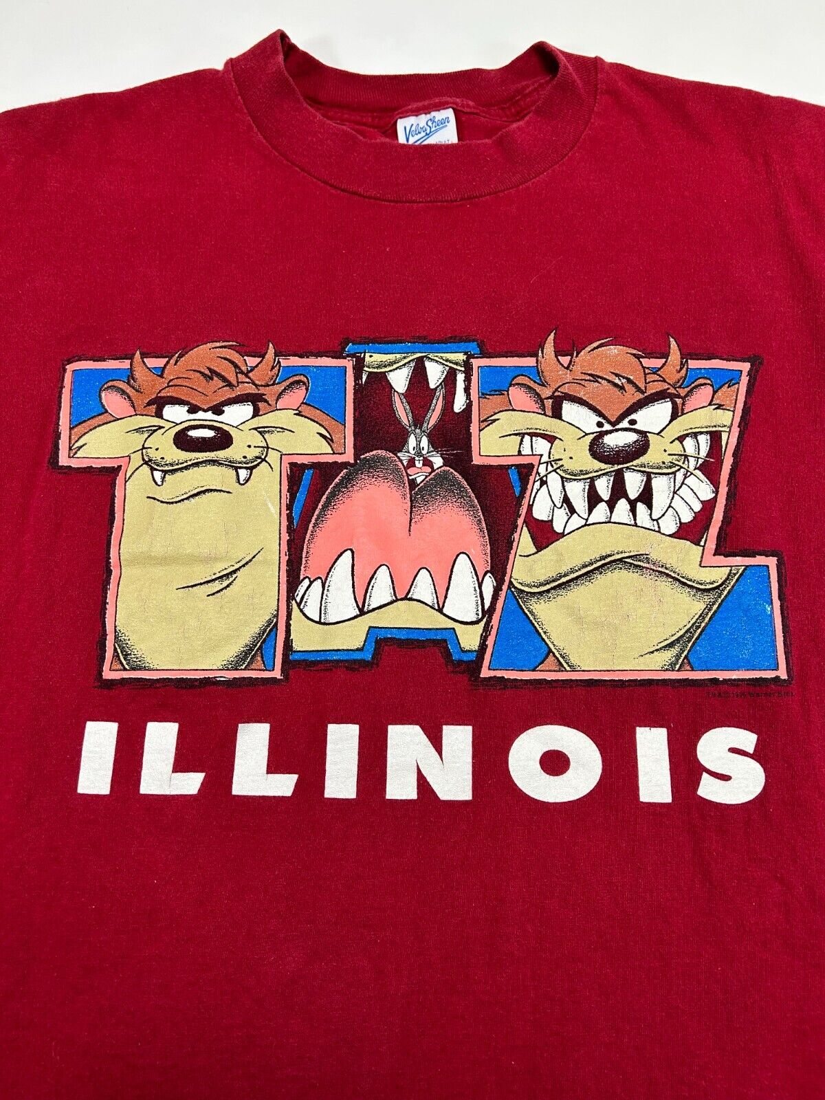 Vintage 1996 Looney Tunes Taz Illinois Destination Graphic T-Shirt Size XL 90s