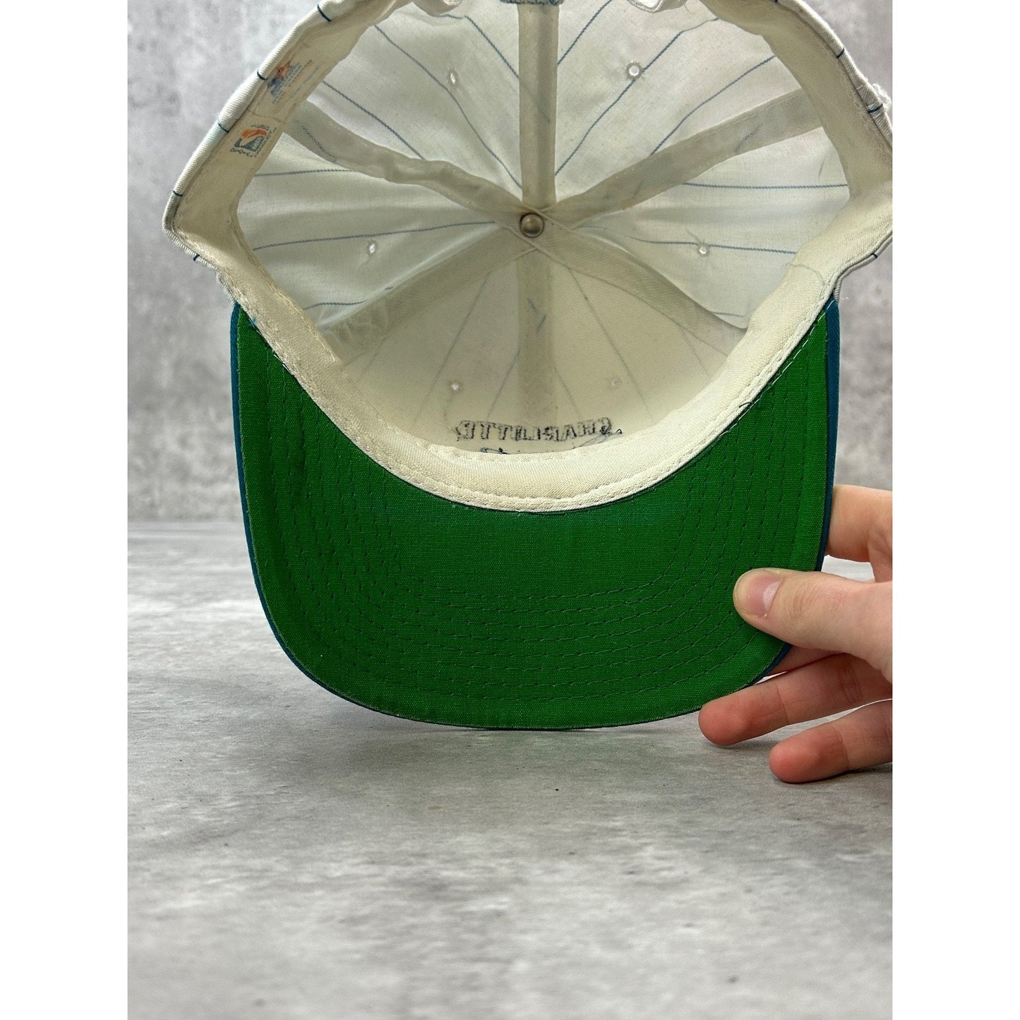 VTG 90s Charlotte Hornets NBA Pinstripe Starter Embroidered Snapback Hat OSFA