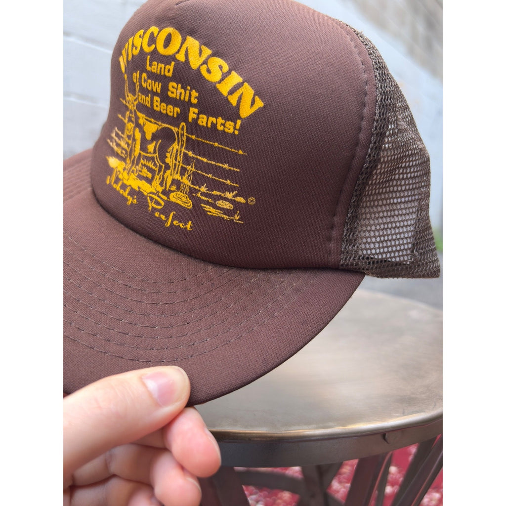 Vintage 80s/90s Wisconsin Land Of Cow Sh*t And Beer Farts Snapback Hat OSFA