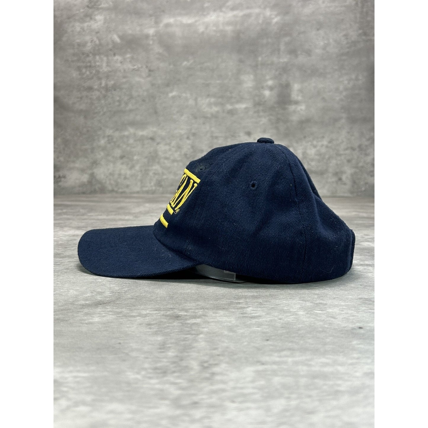 Vintage Michigan Wolverines Hockey NCAA Embroidered Spellout Snapback Hat OSFA
