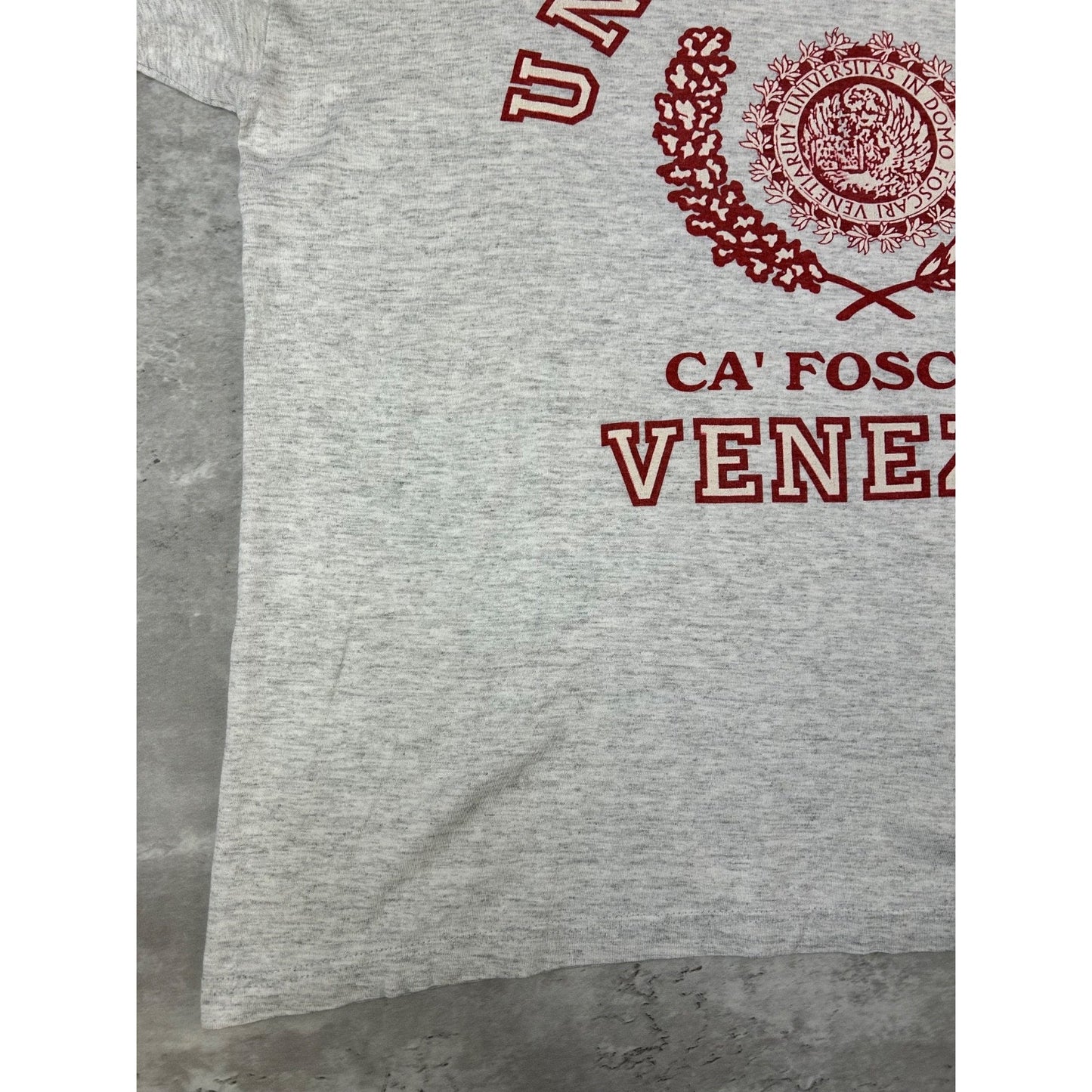 Vintage 90s Universita Venezia Collegiate Crest Graphic T-Shirt Size XL Gray
