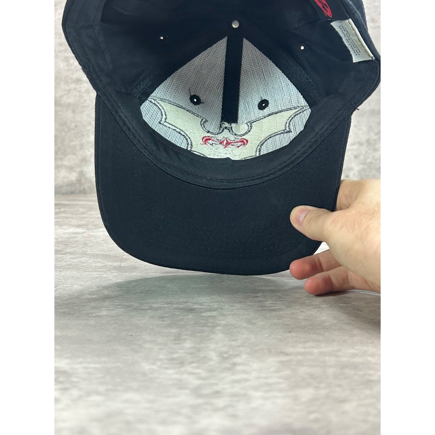 Vintage 1997 Batman & Robin Embroidered Movie Spellout Snapback Hat OSFA