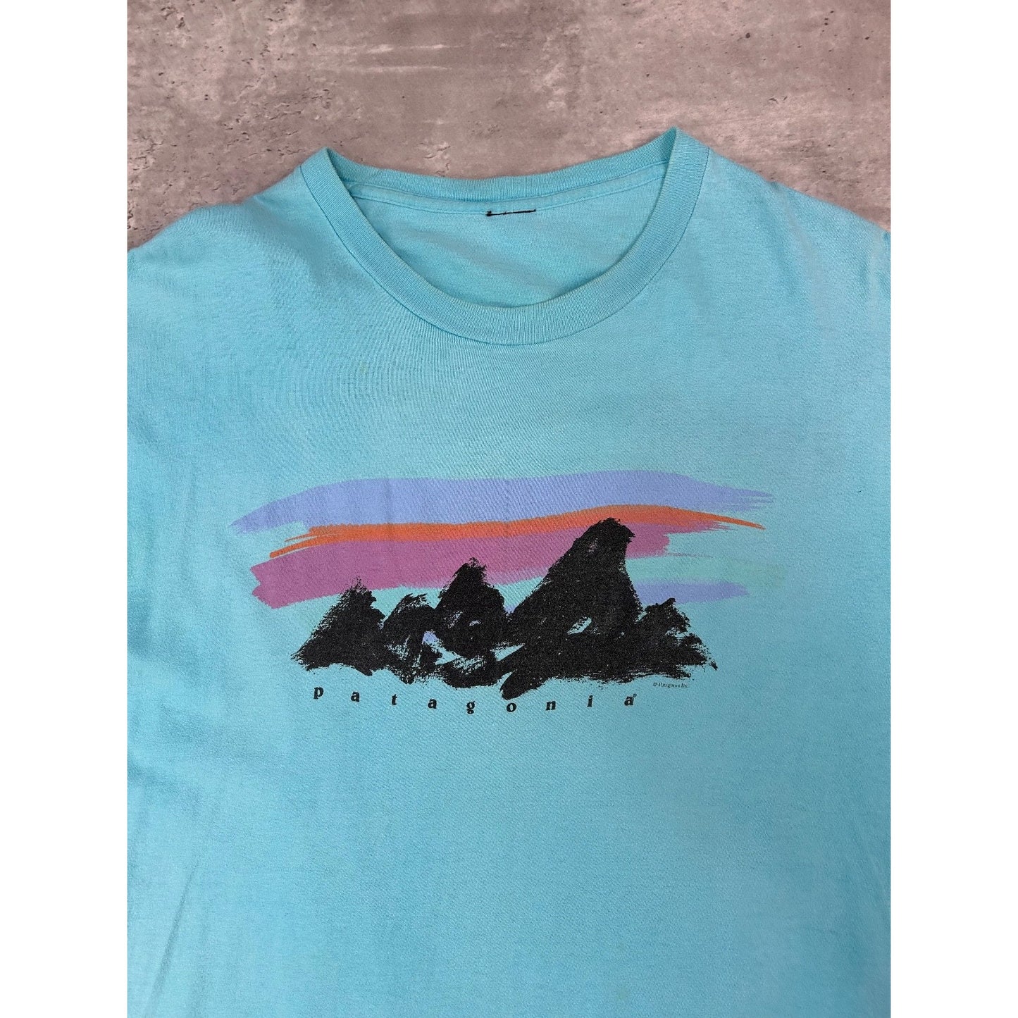 Vintage 90s Patagonia Painted Logo Graphic Spellout T-Shirt Size Large Blue