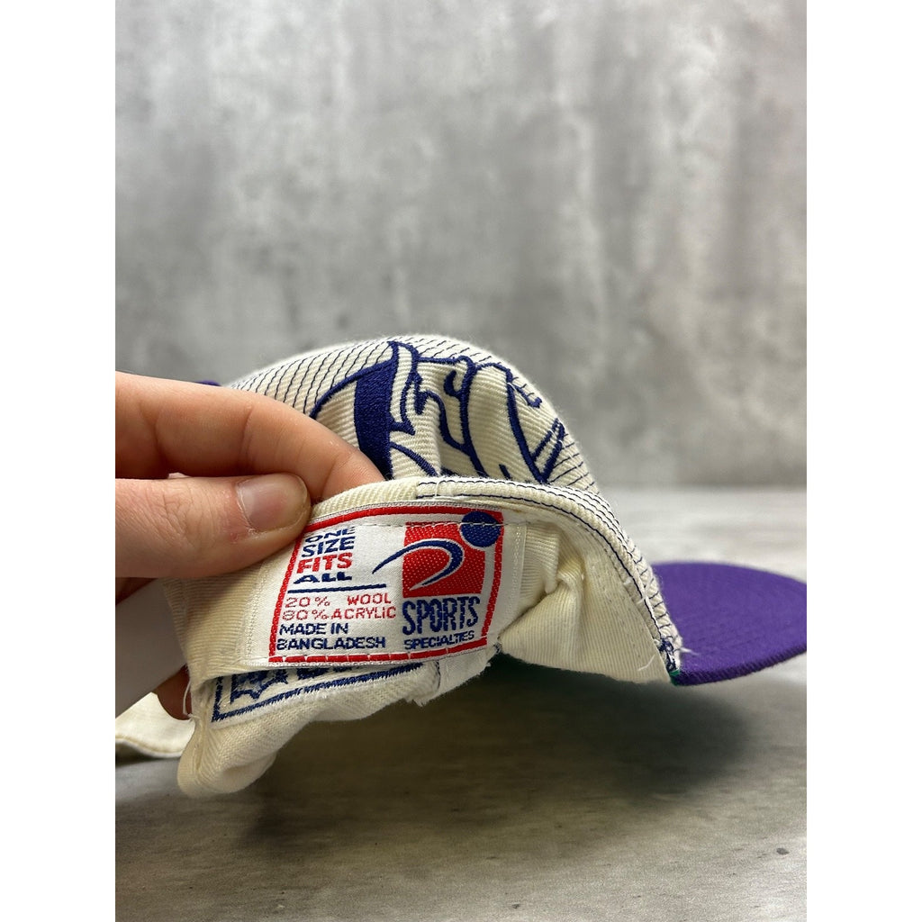 Vintage 90s Minnesota Vikings NFL Sports Specialties Laser Snapback Hat OSFA