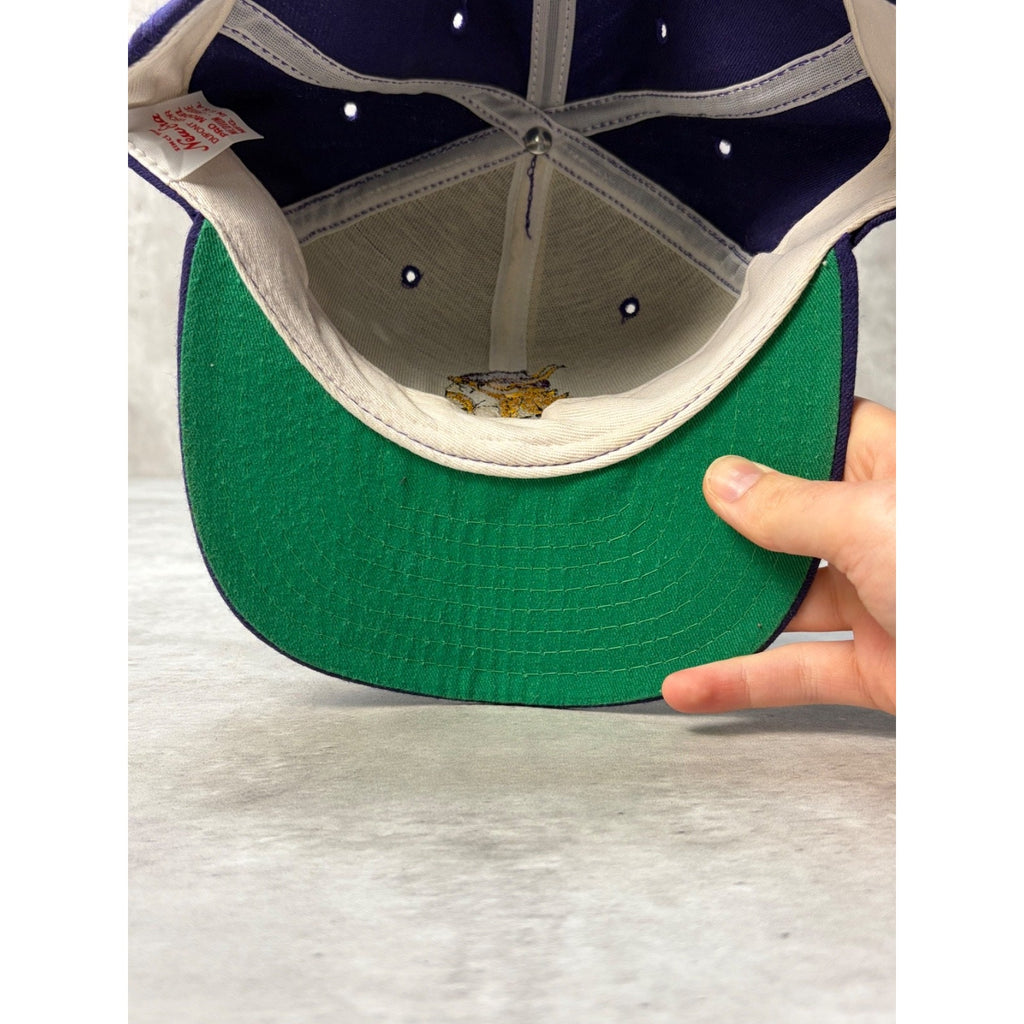 Vintage Minnesota Vikings NFL Embroidered Logo Snapback Hat OSFA