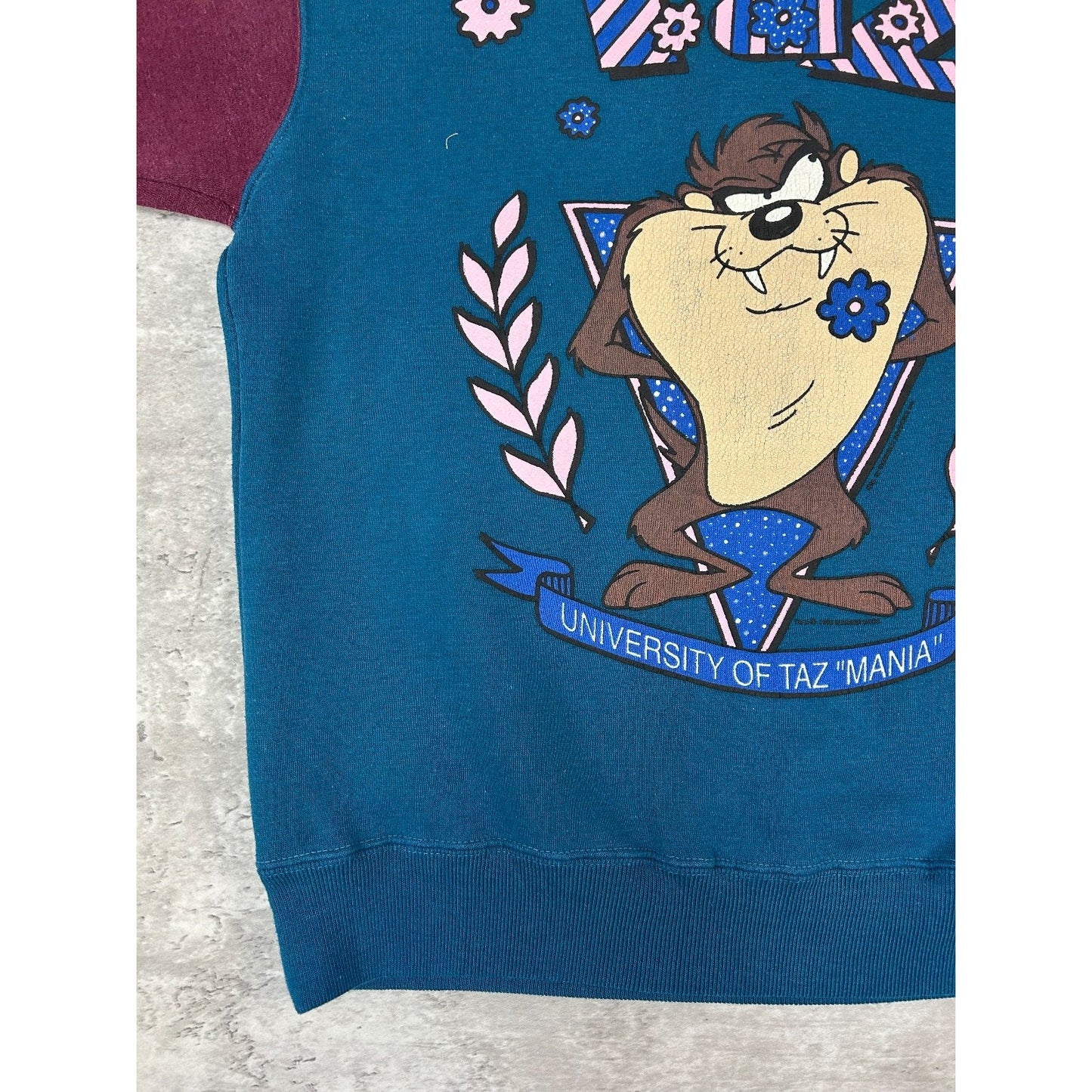 Vintage 1993 Looney Tunes University Of Tazmania Taz Graphic Sweatshirt Medium