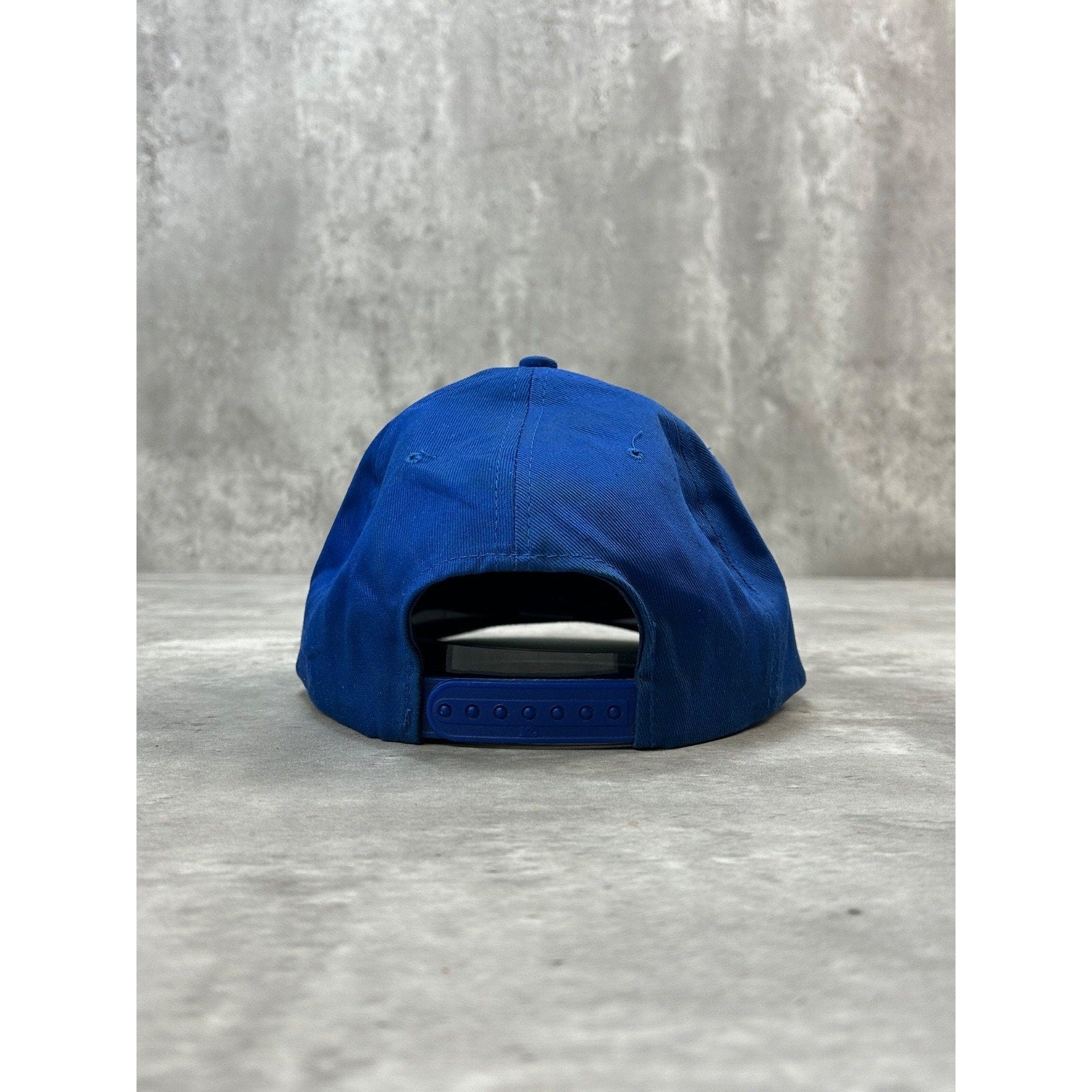 Vintage Greeneview Rams Embroidered Collegiate Logo Snapback Hat OSFA