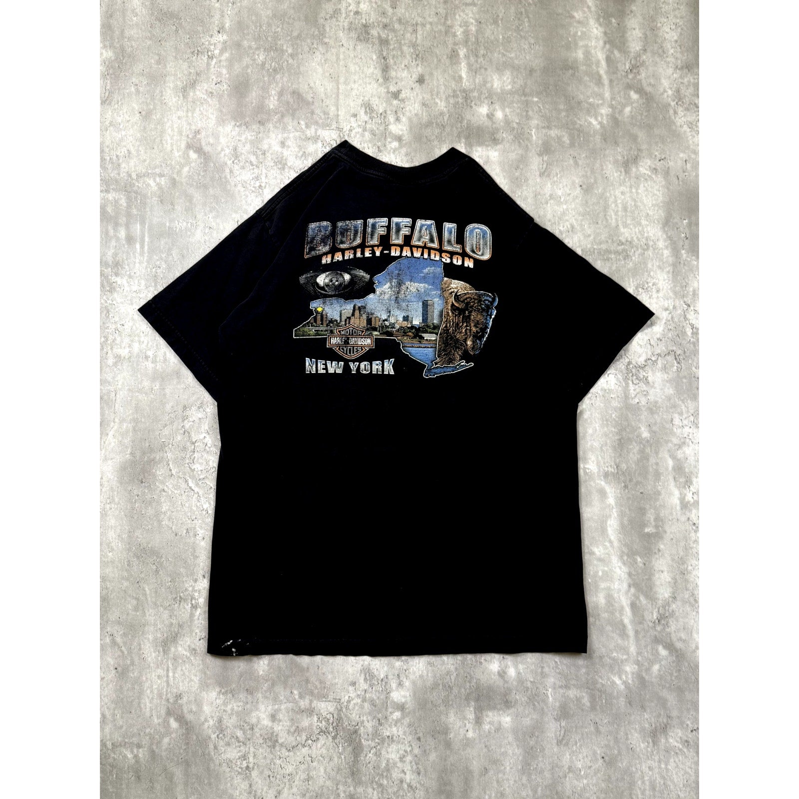 Vintage 2005 Harley Davidson Buffalo Destination Graphic T-Shirt Size Large