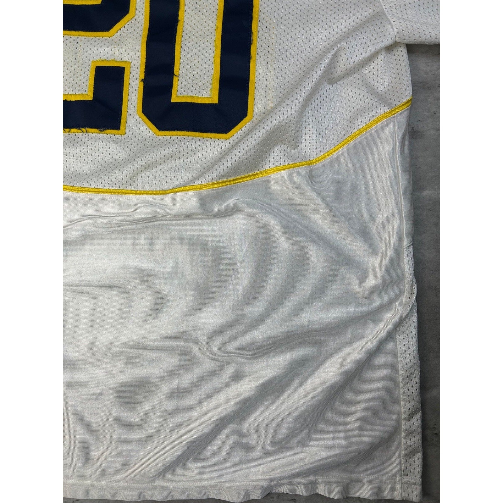 Vintage Michigan Wolverines #20 NCAA Nike Football Jersey Size XL