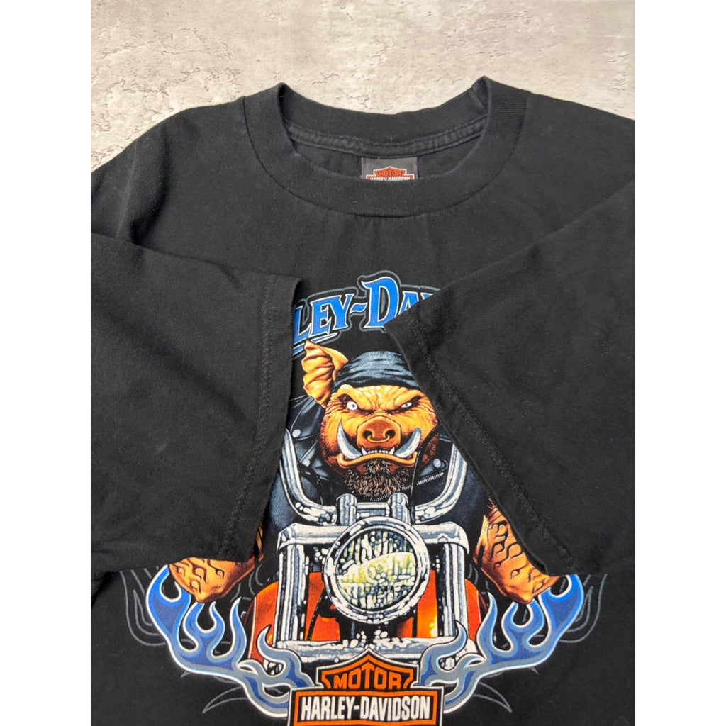 Vintage Harley Davidson Flaming Classic Logo Hog Graphic T-Shirt Size XL