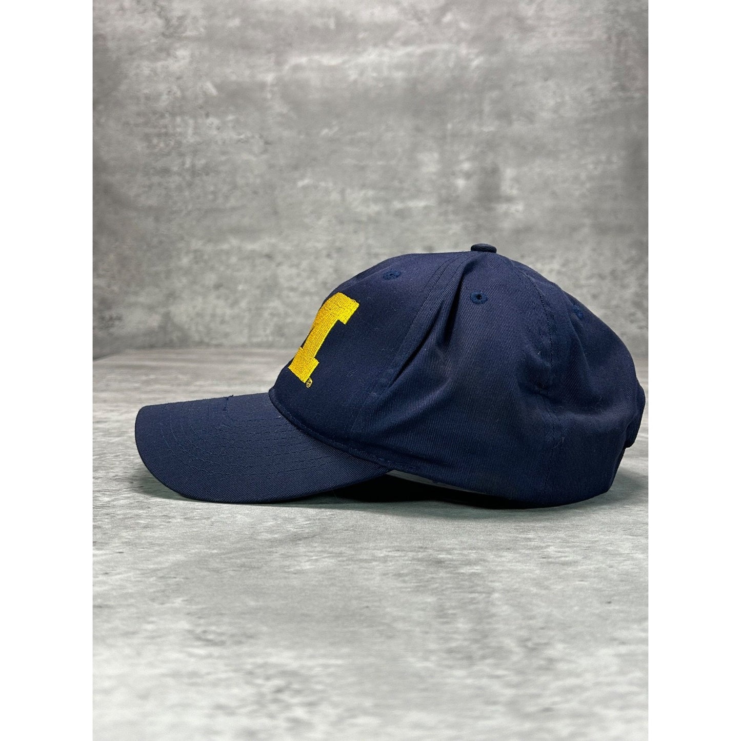 Vintage 90s Michigan Wolverines NCAA Embroidered Collegiate Snapback Hat OSFA