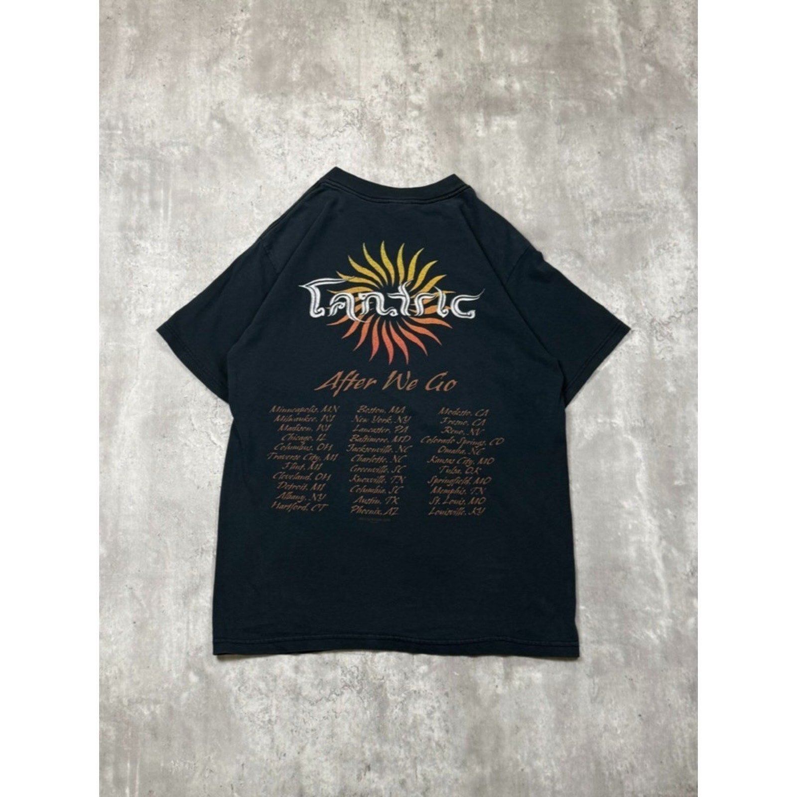 Vintage Tantric After We Go Rock Music Tour T-Shirt Size Medium