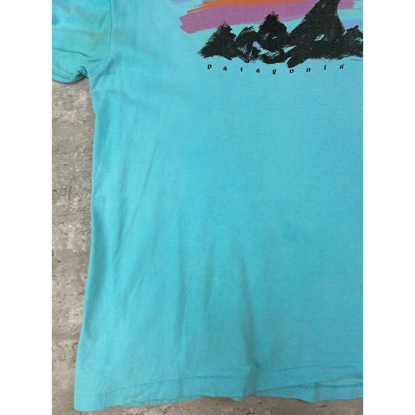Vintage 90s Patagonia Painted Logo Graphic Spellout T-Shirt Size Large Blue