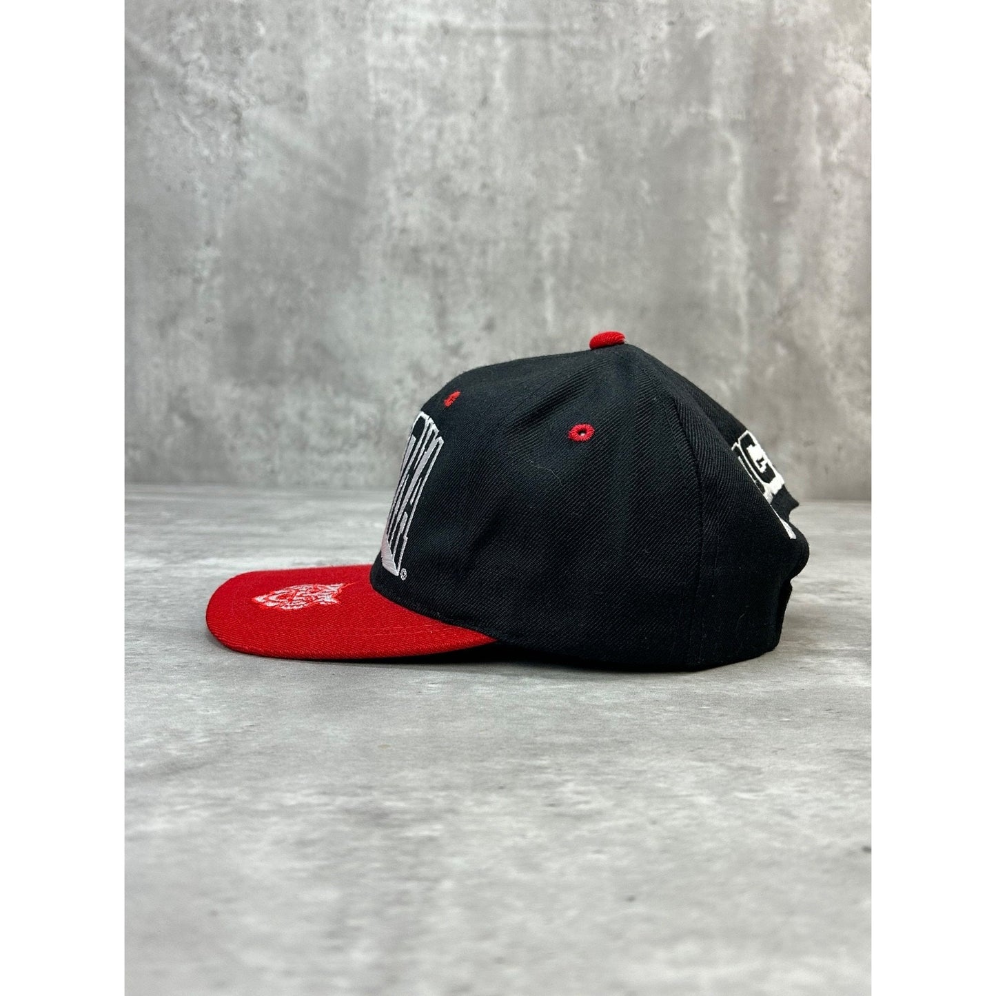 Vintage 90s Arizona Wildcats NCAA Embroidered Spellout Snapback Hat OSFA