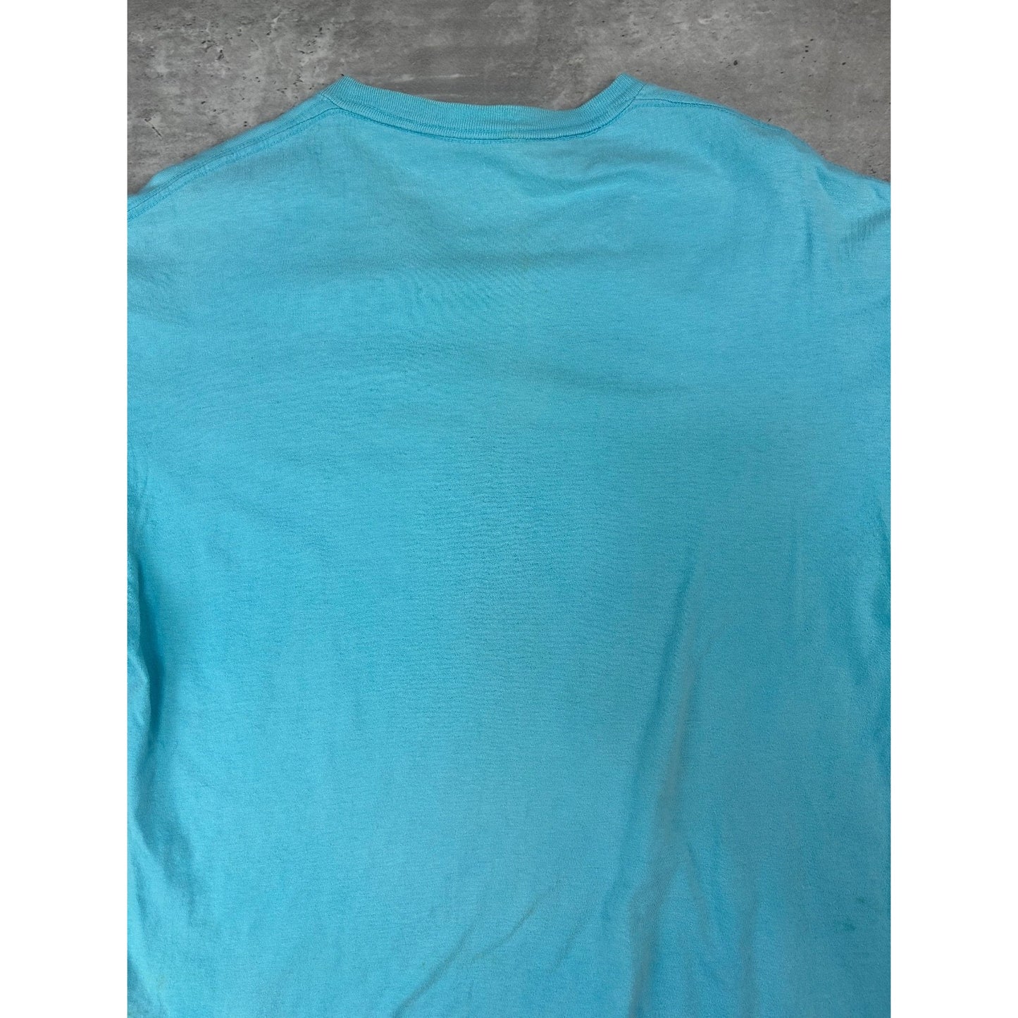 Vintage 90s Patagonia Painted Logo Graphic Spellout T-Shirt Size Large Blue