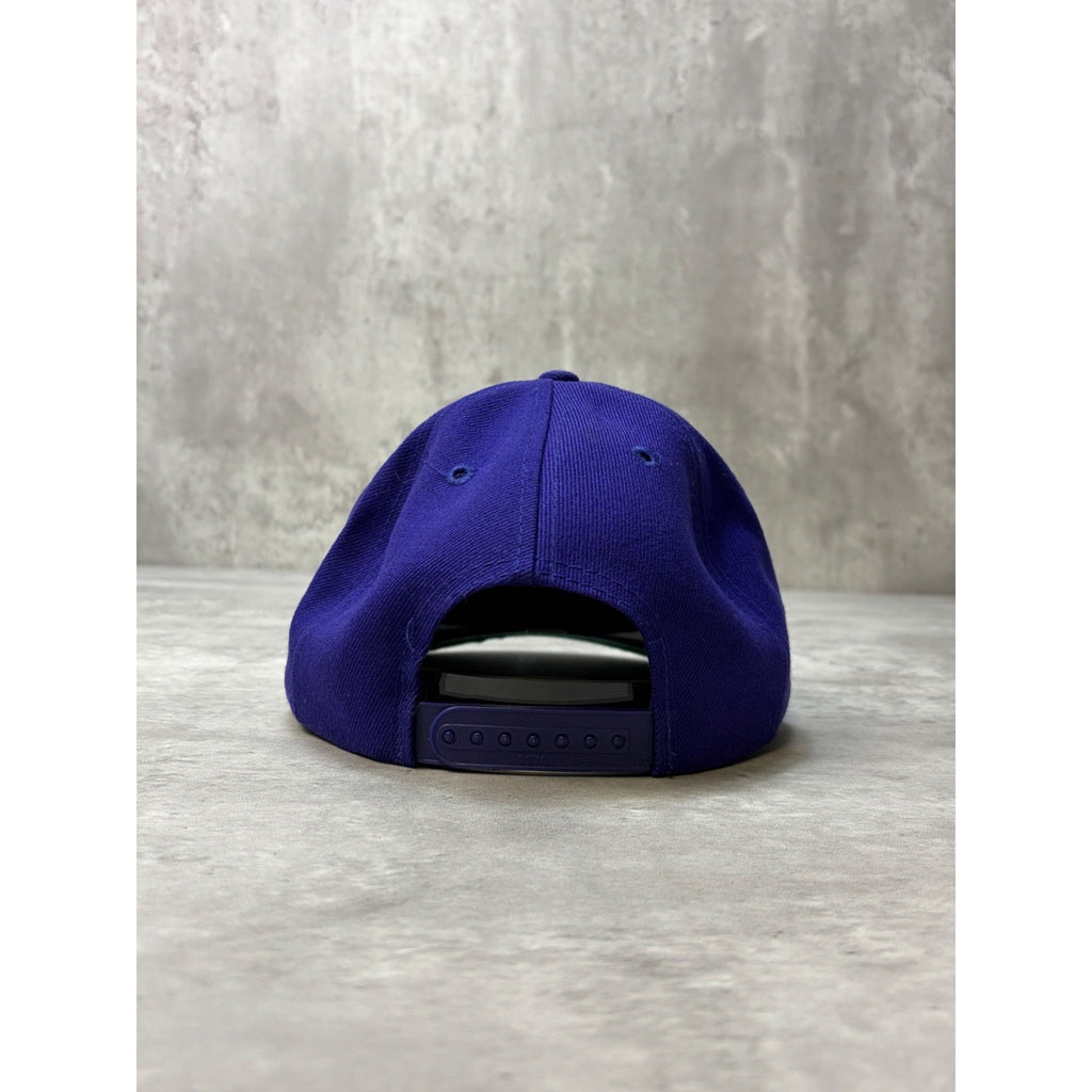 Vintage WWJD Snapback Hat OSFA