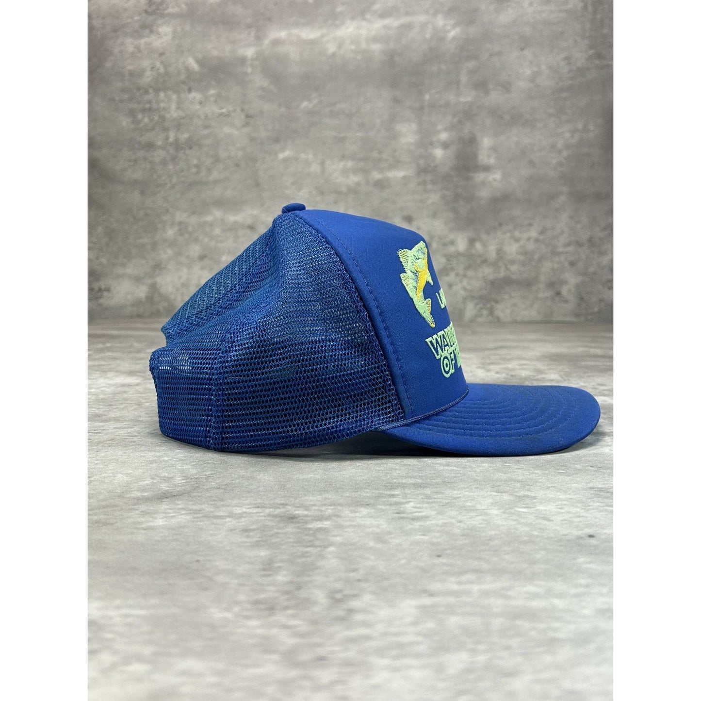 Vintage 80s Lake Erie Walleye Capital Of The World Trucker Snapback Hat OSFA