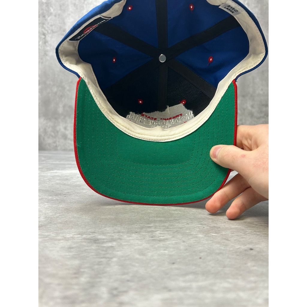Vintage 1998 Fresno State NCAA National Softball Champs Snapback Hat OSFA