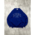 Vintage Detroit Lions NFL Embroidered Arc Spellout Sweatshirt Size Large