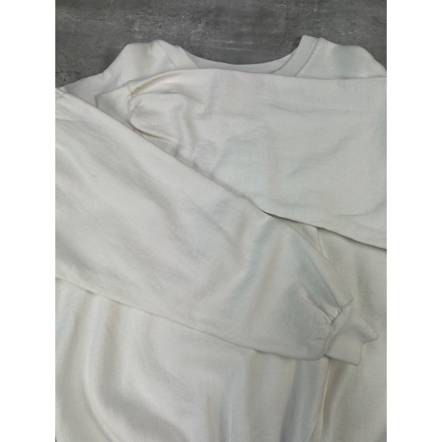 Vintage 90s Gatlinburg Embroidered Hummingbird Destination Sweatshirt Size XL