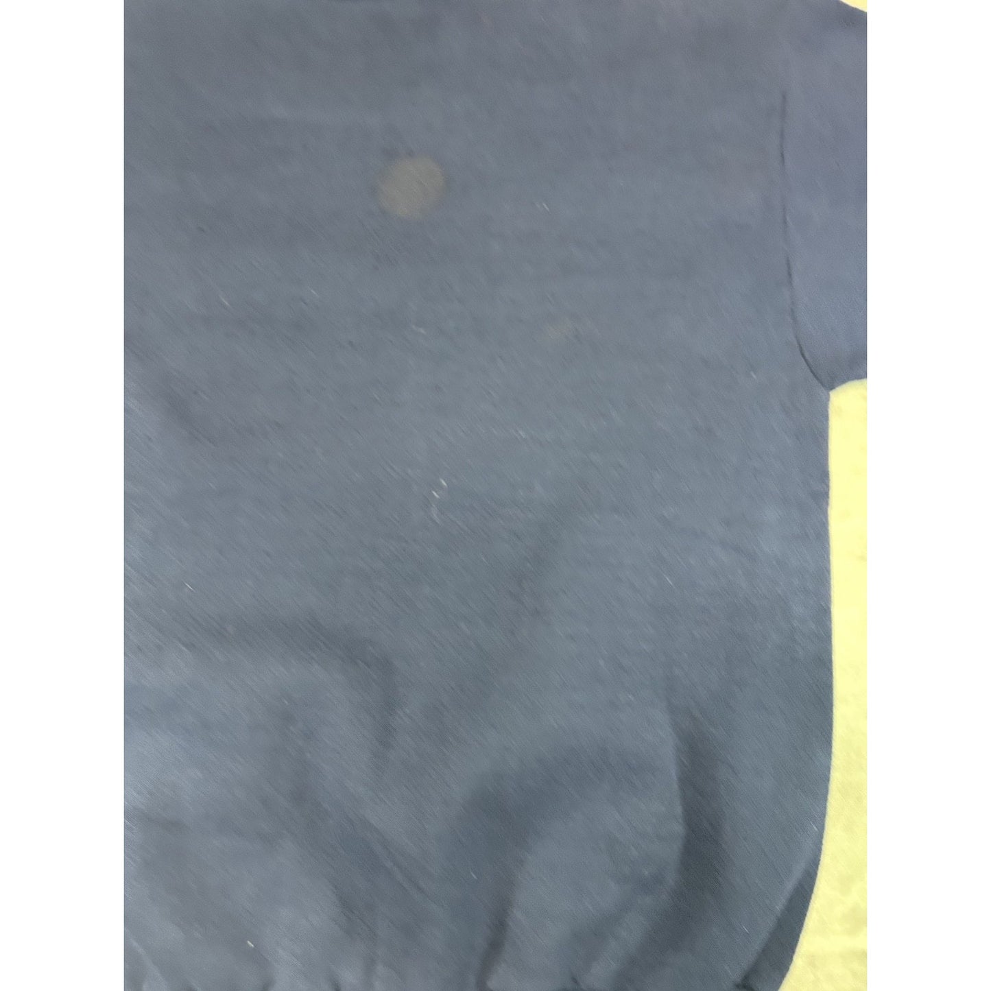 Vintage 1998 Denver Broncos NFL Super Bowl Champs Graphic Sweatshirt Size Medium