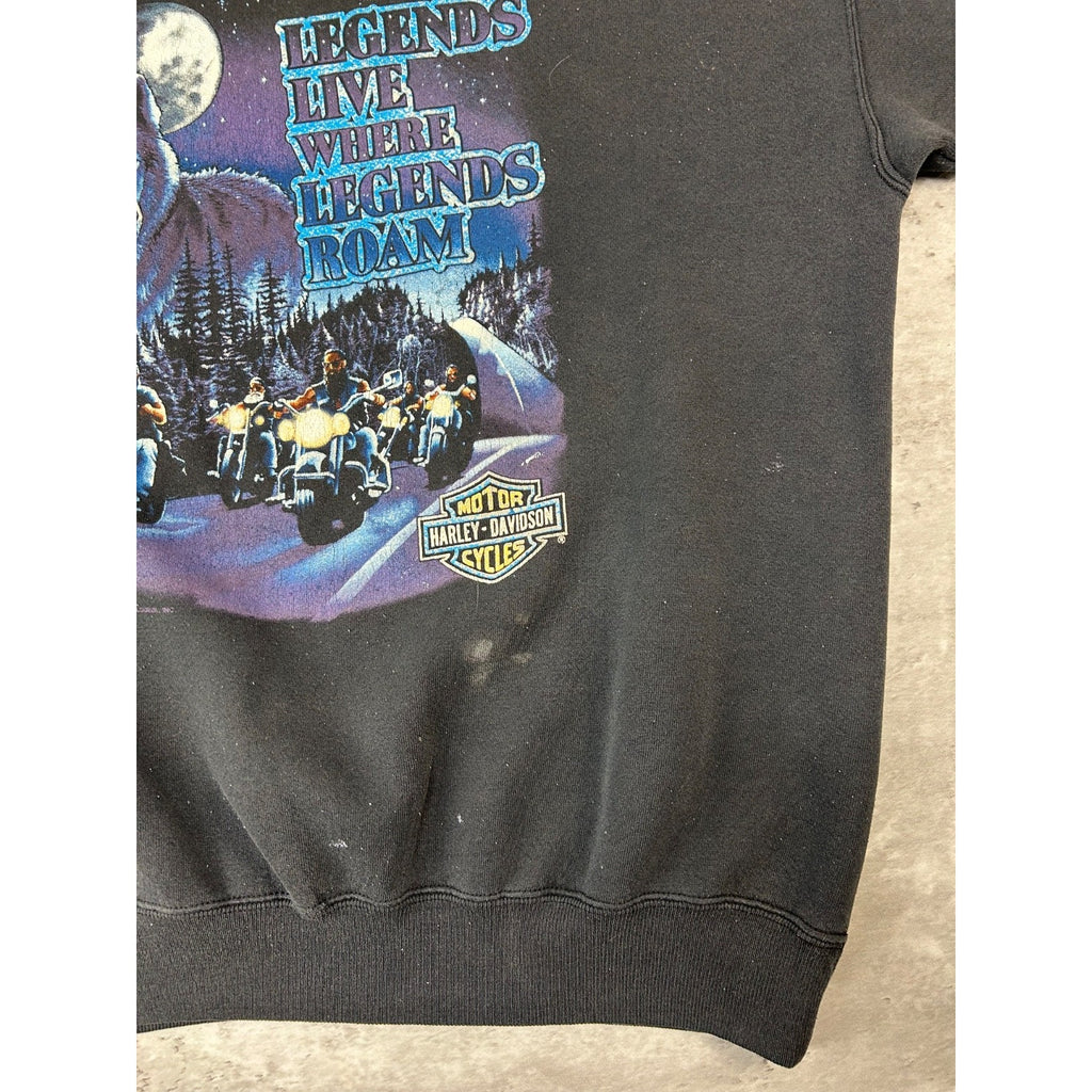 Vintage 1991 Harley Davidson Legends Live Where Legends Roam Sweatshirt Size XL