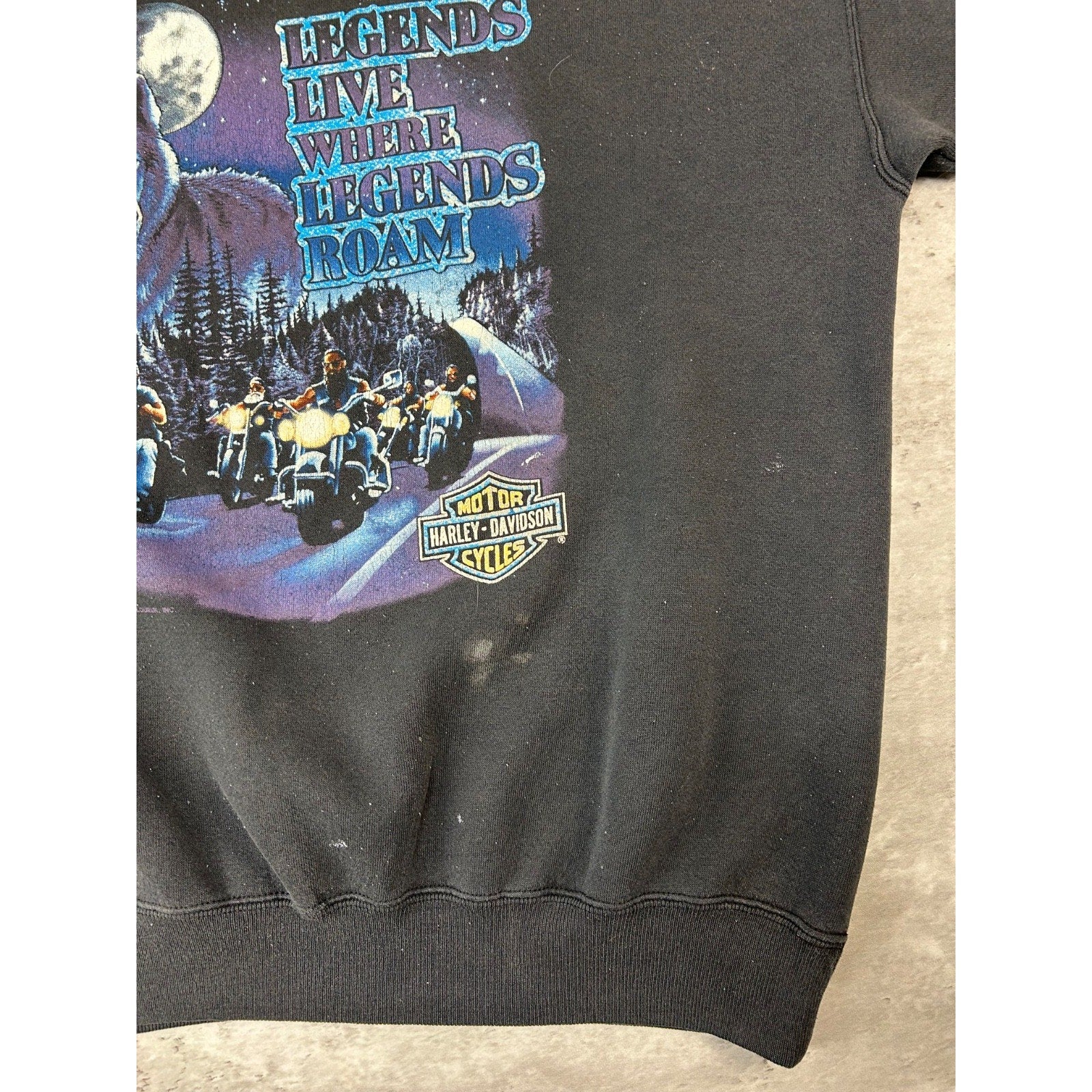 Vintage 1991 Harley Davidson Legends Live Where Legends Roam Sweatshirt Size XL