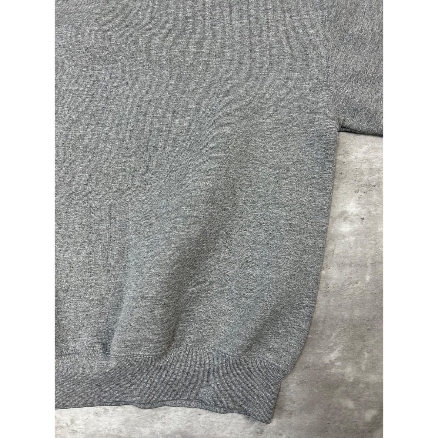 Vintage 90s Grove City Eagles Collegiate Graphic Hooded Sweatshirt Size Large