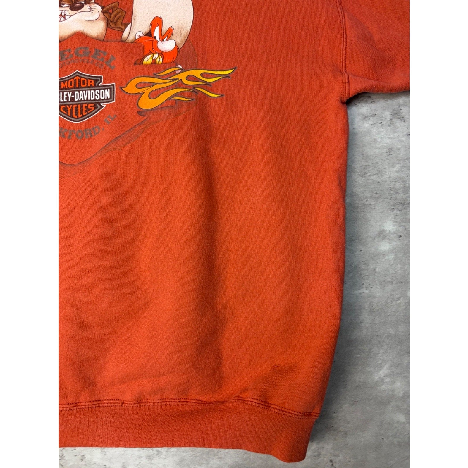 Vintage 2005 Harley Davidson One Bad Toy Looney Tunes Hooded Sweatshirt Size XL