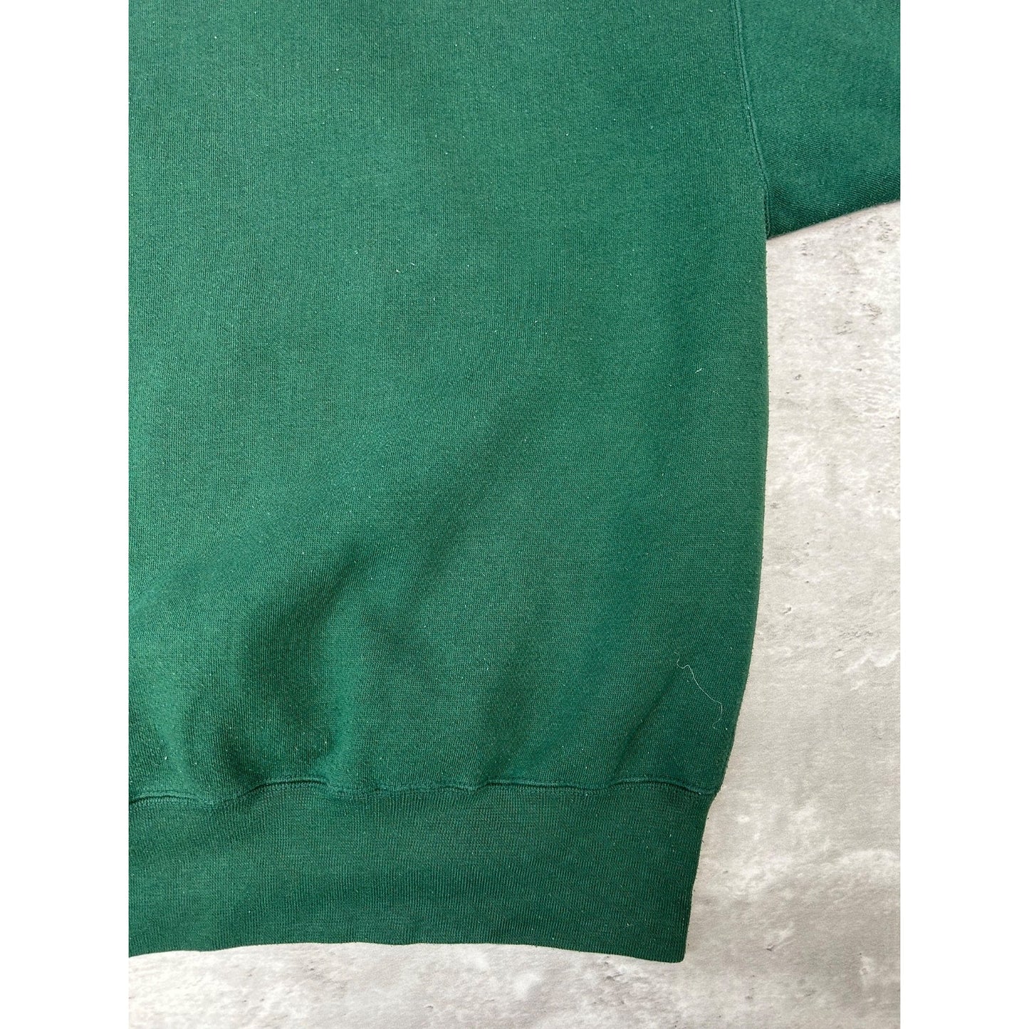 Vintage 90s Phoenix Coyotes NHL Embroidered Spellout Hockey Sweatshirt Sz Large