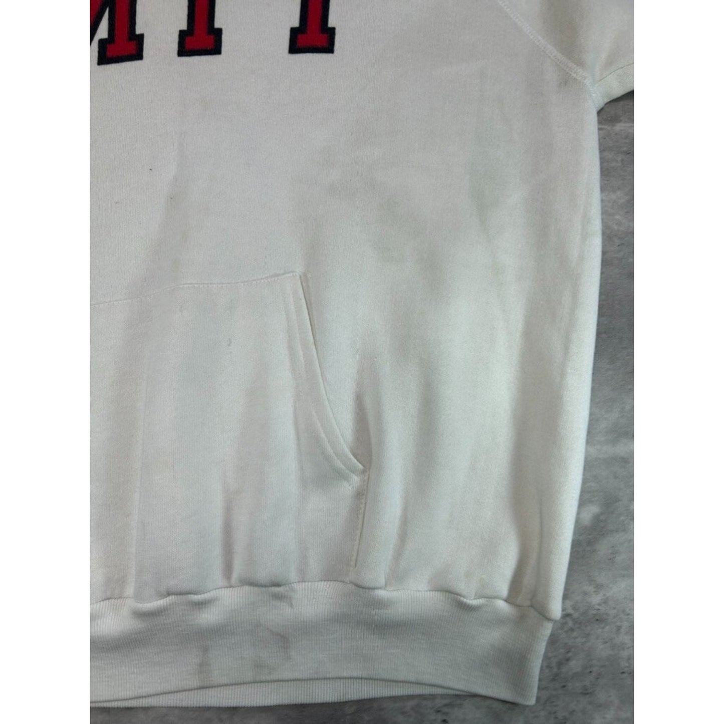 Vintage 80s Champion MIT Graphic Spellout Hooded Sweatshirt Size Large