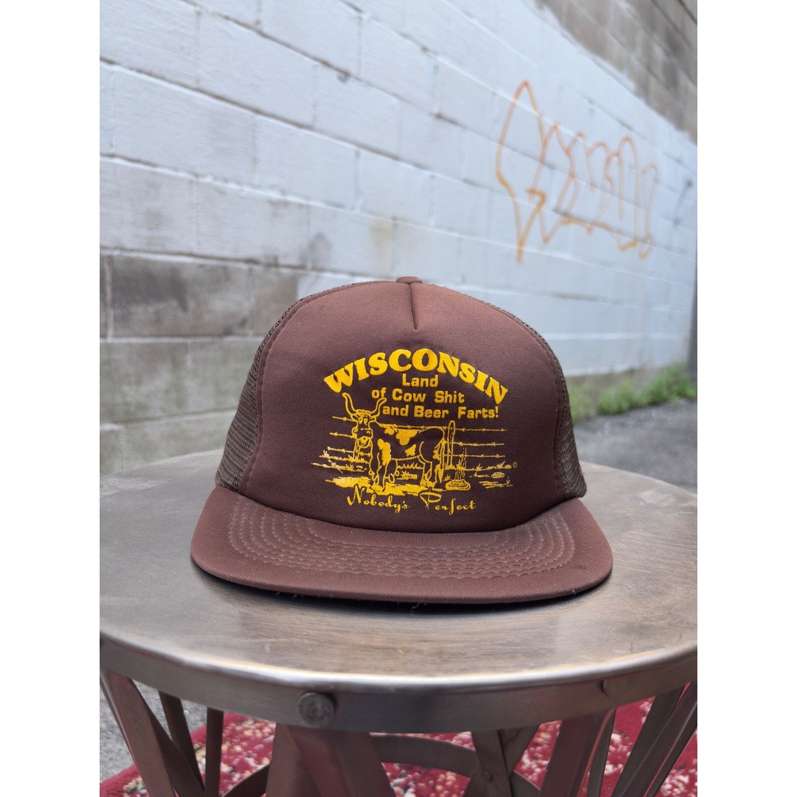 Vintage 80s/90s Wisconsin Land Of Cow Sh*t And Beer Farts Snapback Hat OSFA