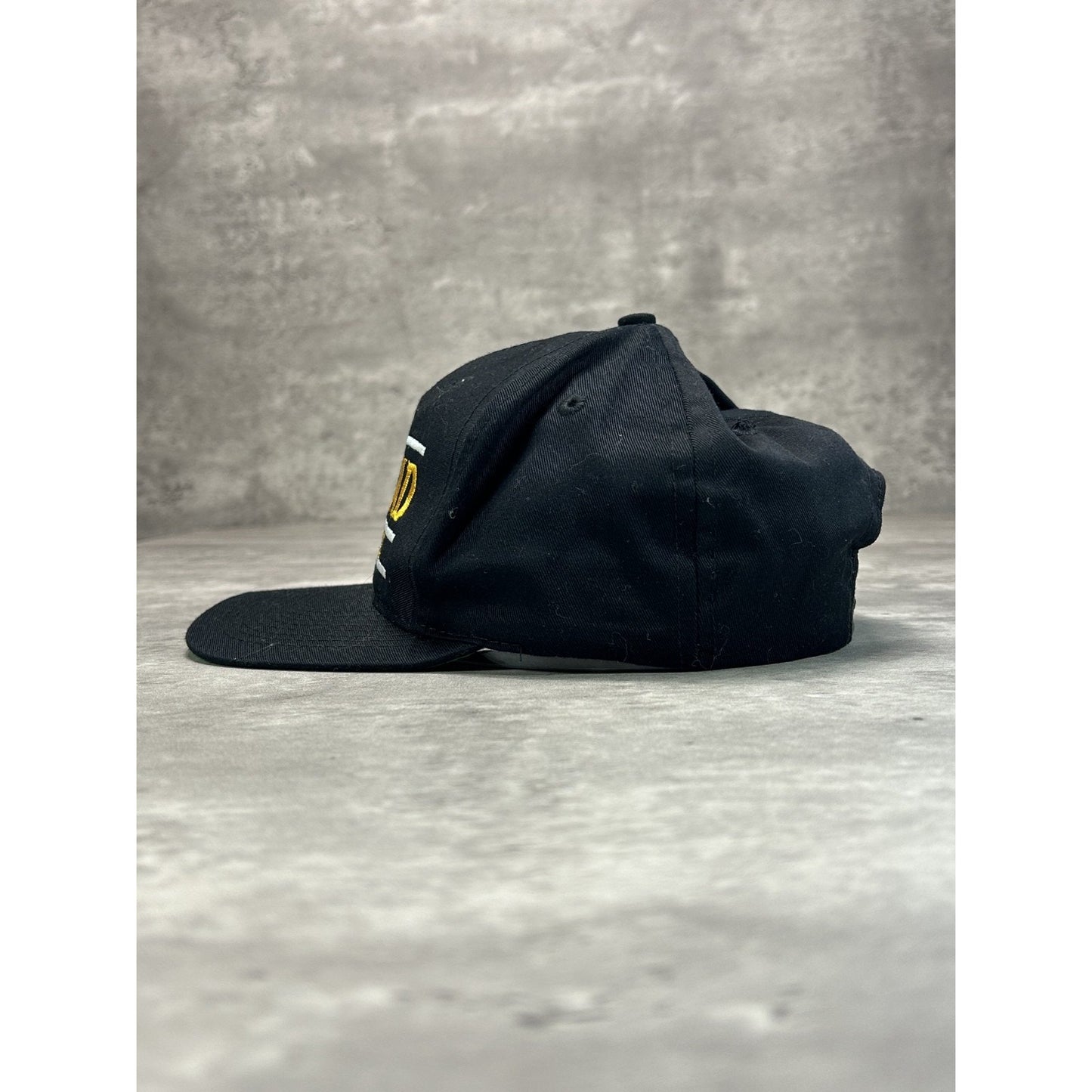 Vintage 90s Ashland University NCAA Embroidered Spellout Snapback Hat OSFA