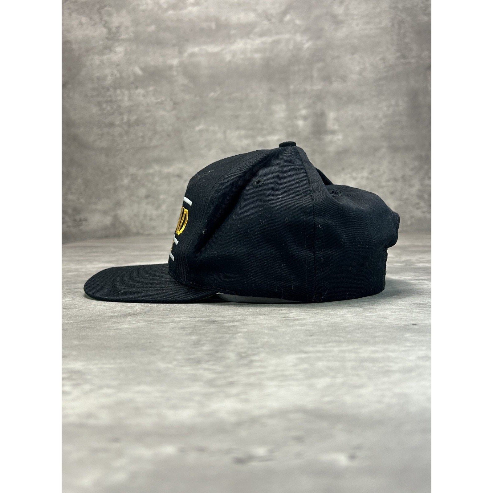 Vintage 90s Ashland University NCAA Embroidered Spellout Snapback Hat OSFA