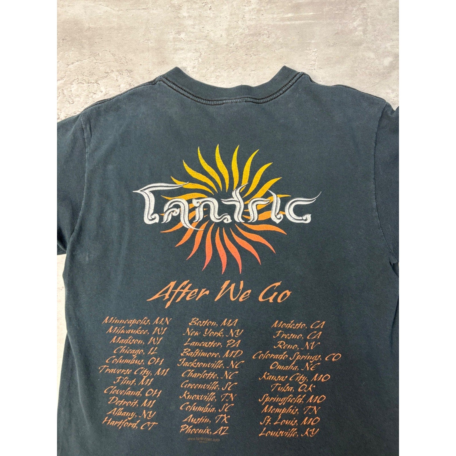 Vintage Tantric After We Go Rock Music Tour T-Shirt Size Medium