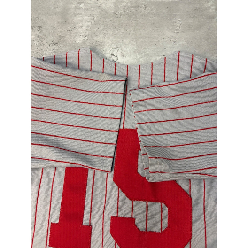 Vintage 80s/90s Spartans Pinstripe Stitched Baseball Jersey Size Small
