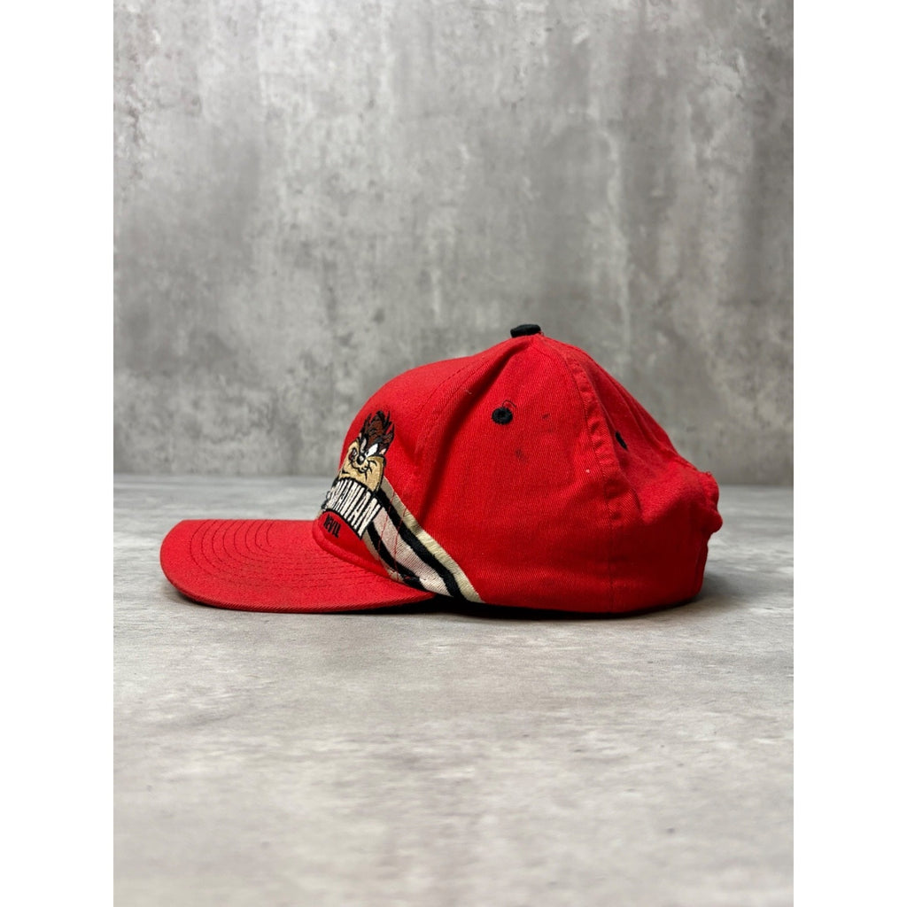 Vintage 1998 Looney Tunes Tasmanian Devil Embroidered Strapback Hat OSFA