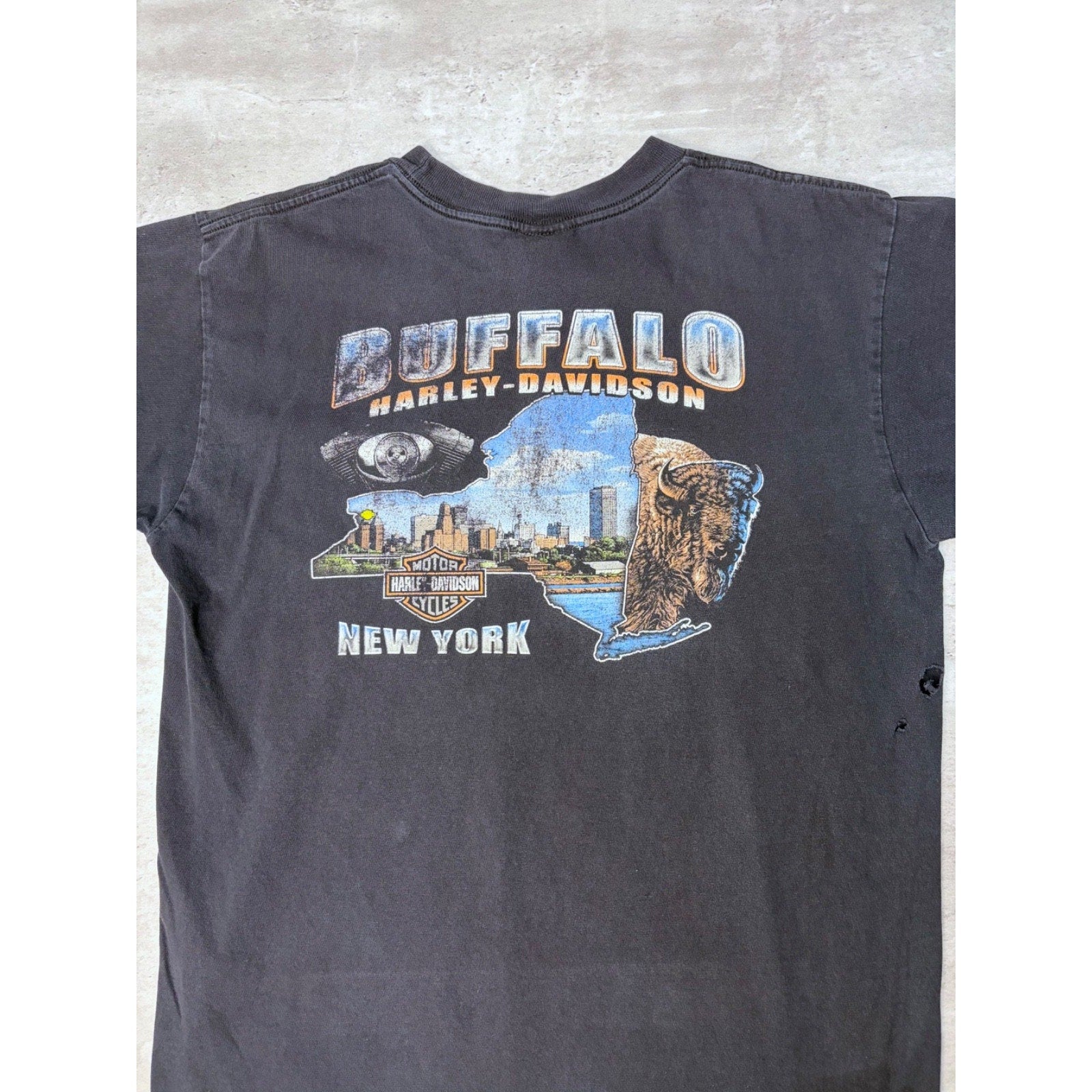 Vintage 2005 Harley Davidson Buffalo Destination Graphic T-Shirt Size Large