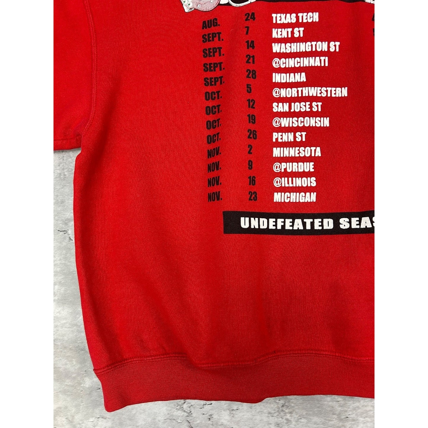 Vintage 2002 Ohio State Buckeyes NCAA Undefeated Football Sweatshirt YOUTH Large