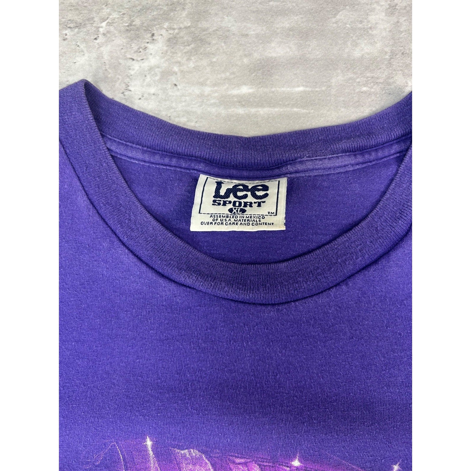 Vintage 1999 Minnesota Vikings NFL Football Graphic T-Shirt Size XL