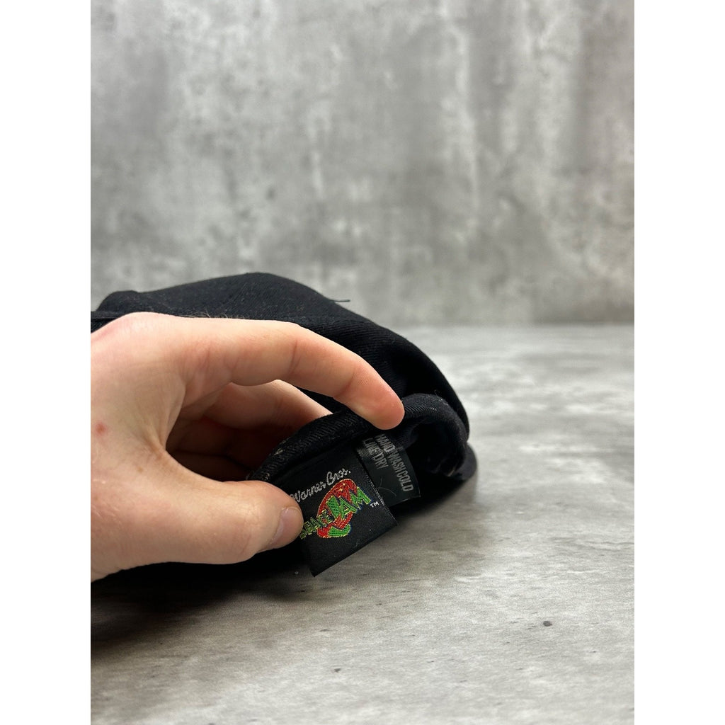 Vintage 1996 Space Jam Embroidered Logo Movie Promo Snapback Hat OSFA