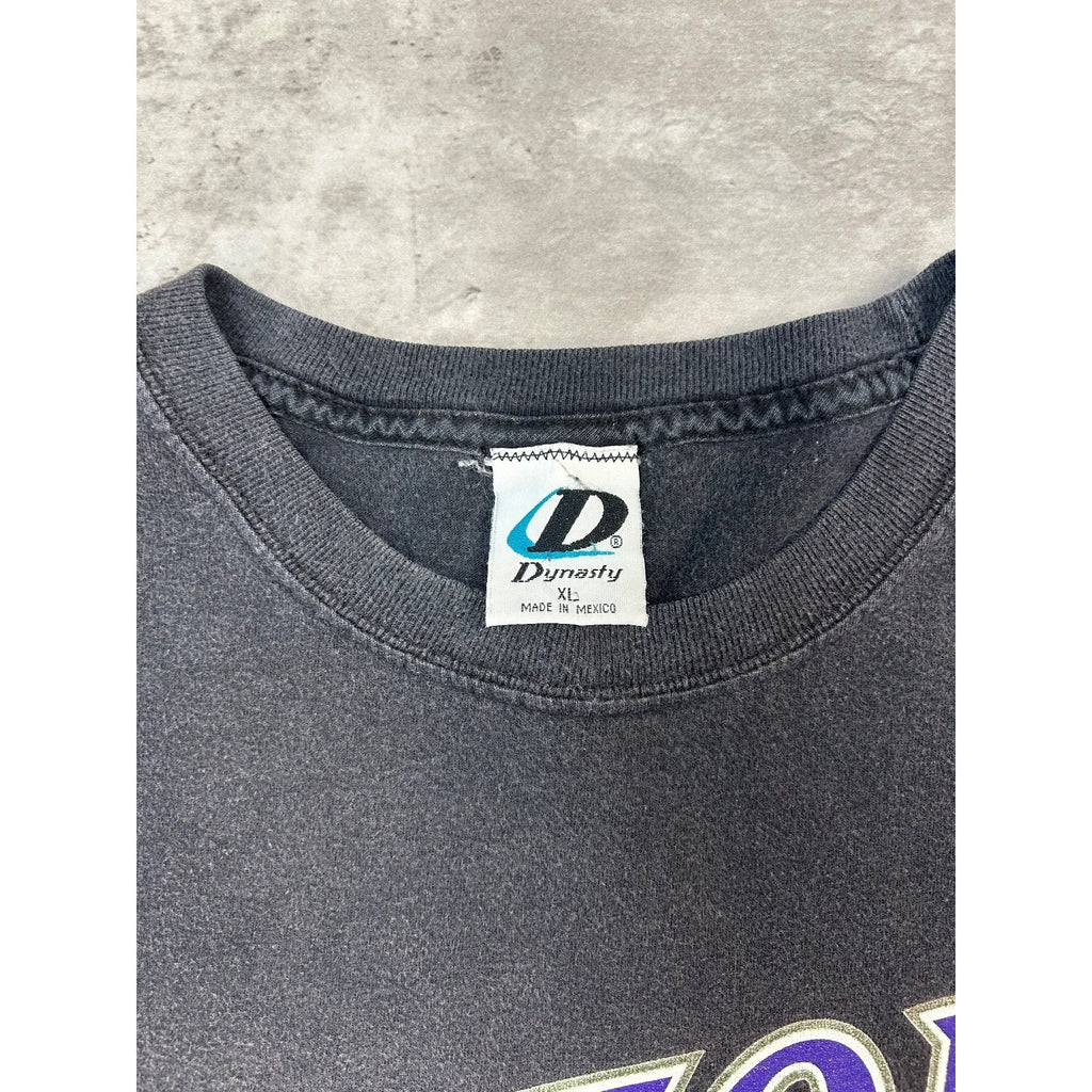 Vintage 90s Randy Johnson #51 Arizona Diamondbacks MLB Jersey T-Shirt Size XL