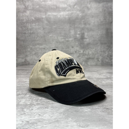 Vintage 2004 Western Michigan NCAA Mac Basketball Champs Strapback Hat OSFA