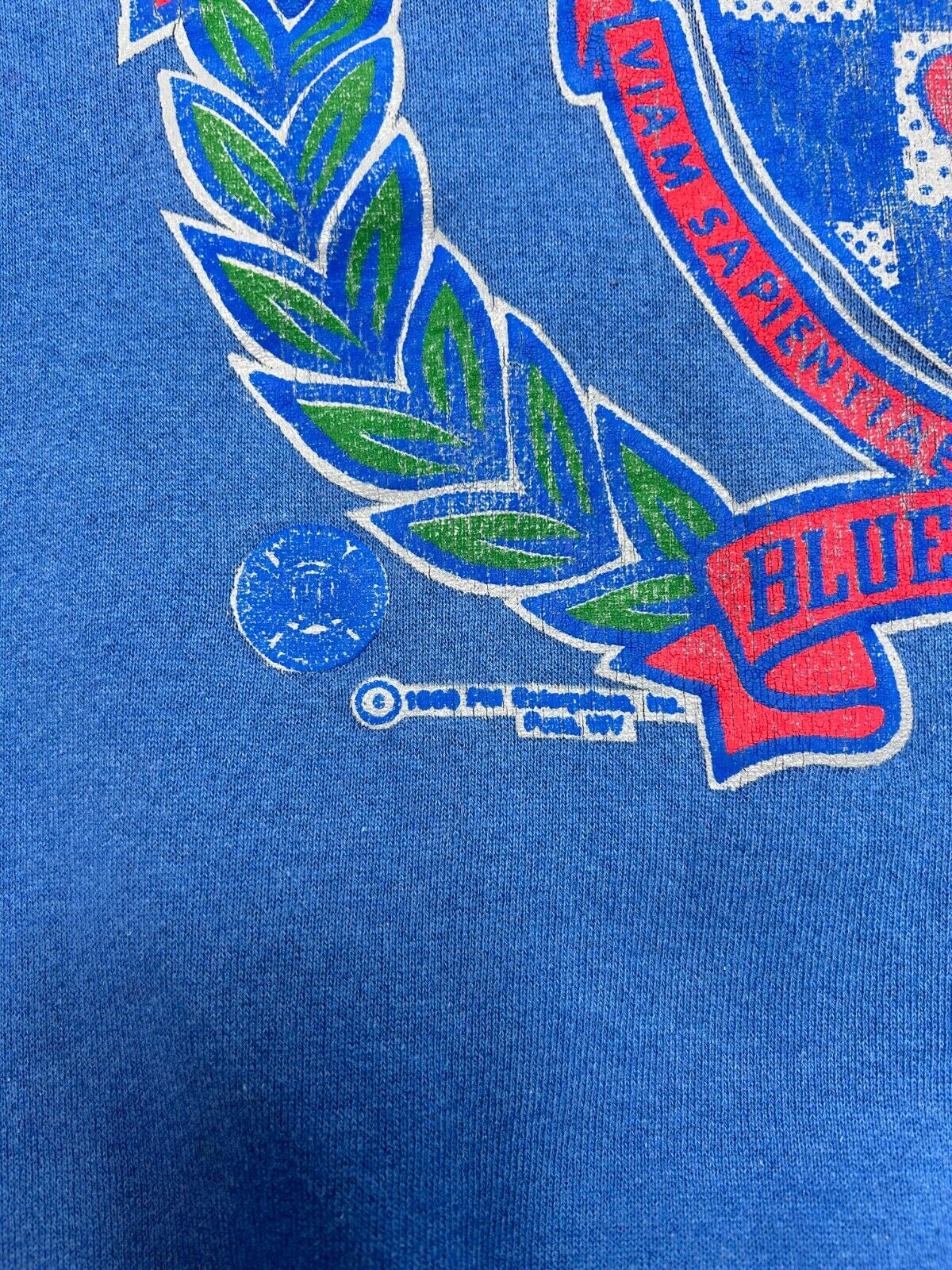 Vintage 1990 De Paul Blue Demons NCAA Crest Graphic Sweatshirt Size Medium