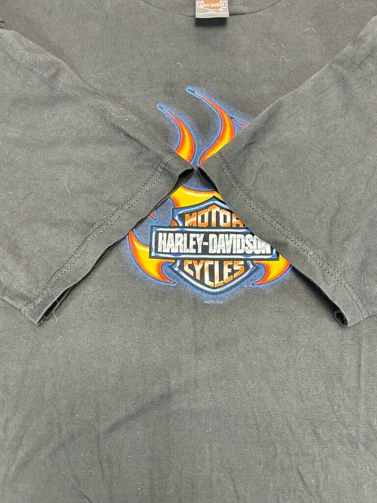 Vintage 2001 Harley Davidson Flame Logo Bald Eagle Graphic T-Shirt Size 2XL