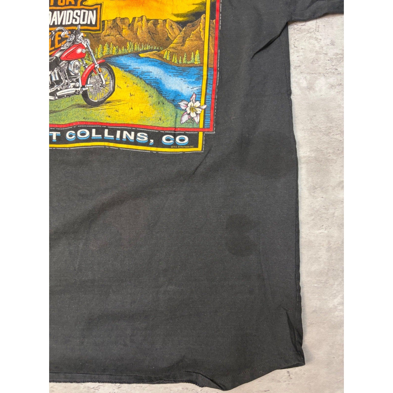 Vintage Harley Davidson Fort Collins Landscape Graphic Baseball Jersey Sz Large